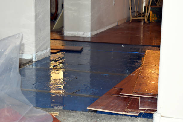 Professional Burst Pipe Water Damage technician working in Vanlue, OH
